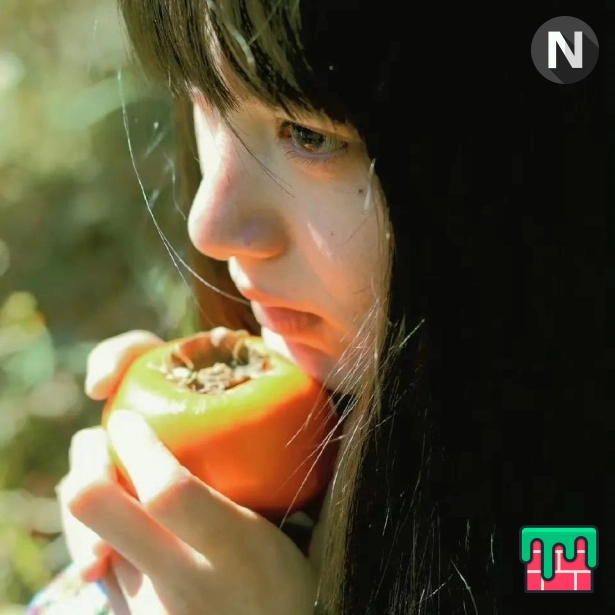 吴晨会员